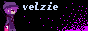 velzie.d A web button with the description: velzie.d
